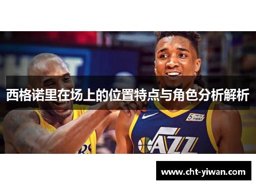 西格诺里在场上的位置特点与角色分析解析