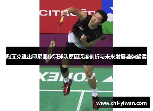 陶菲克退出印尼国家羽球队原因深度剖析与未来发展趋势解读