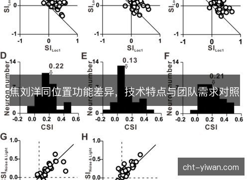 焦刘洋同位置功能差异,技术特点与团队需求对照 焦刘洋同位置功能差异,技术特点与团队需求对照
